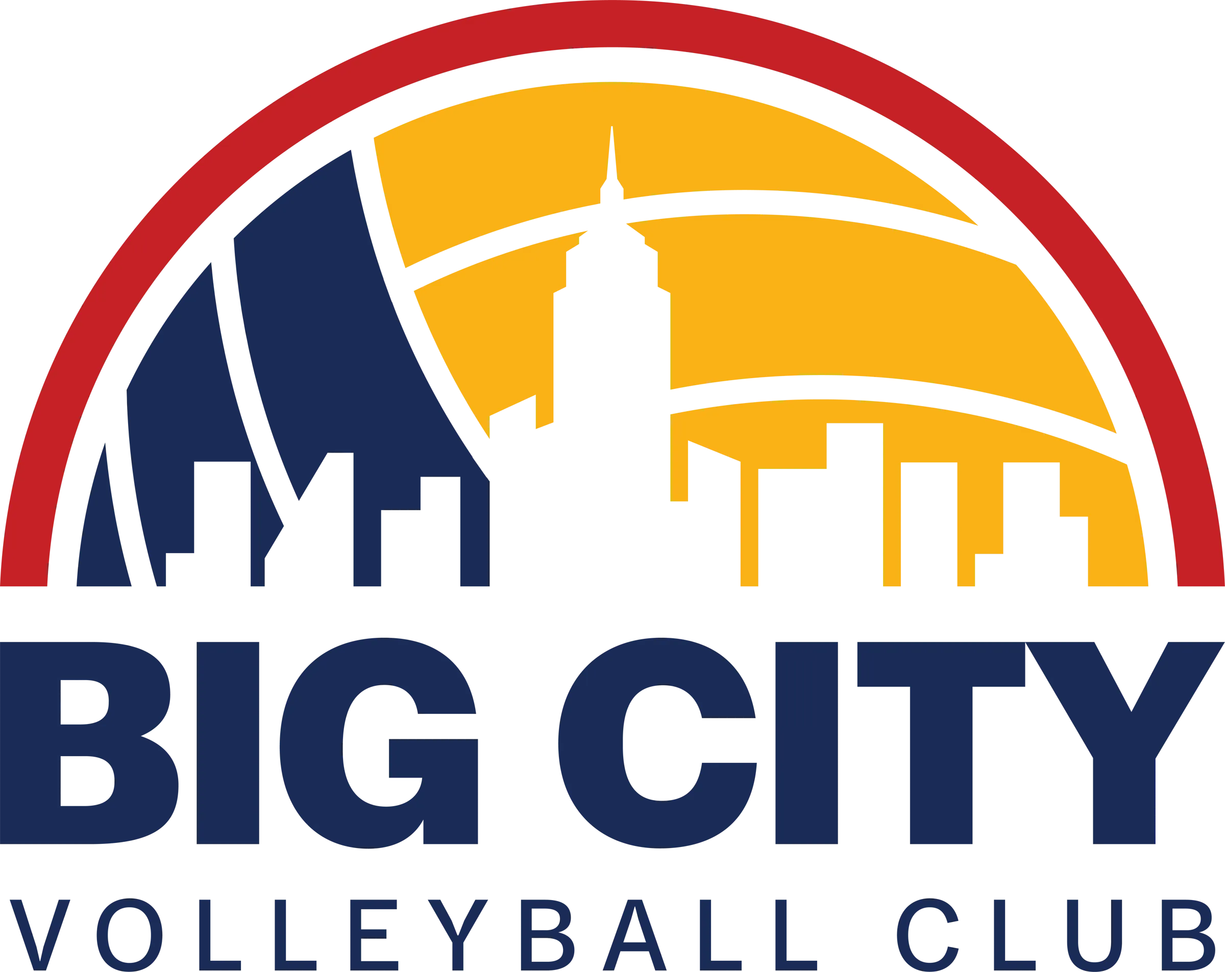 Big City Volleyball Club