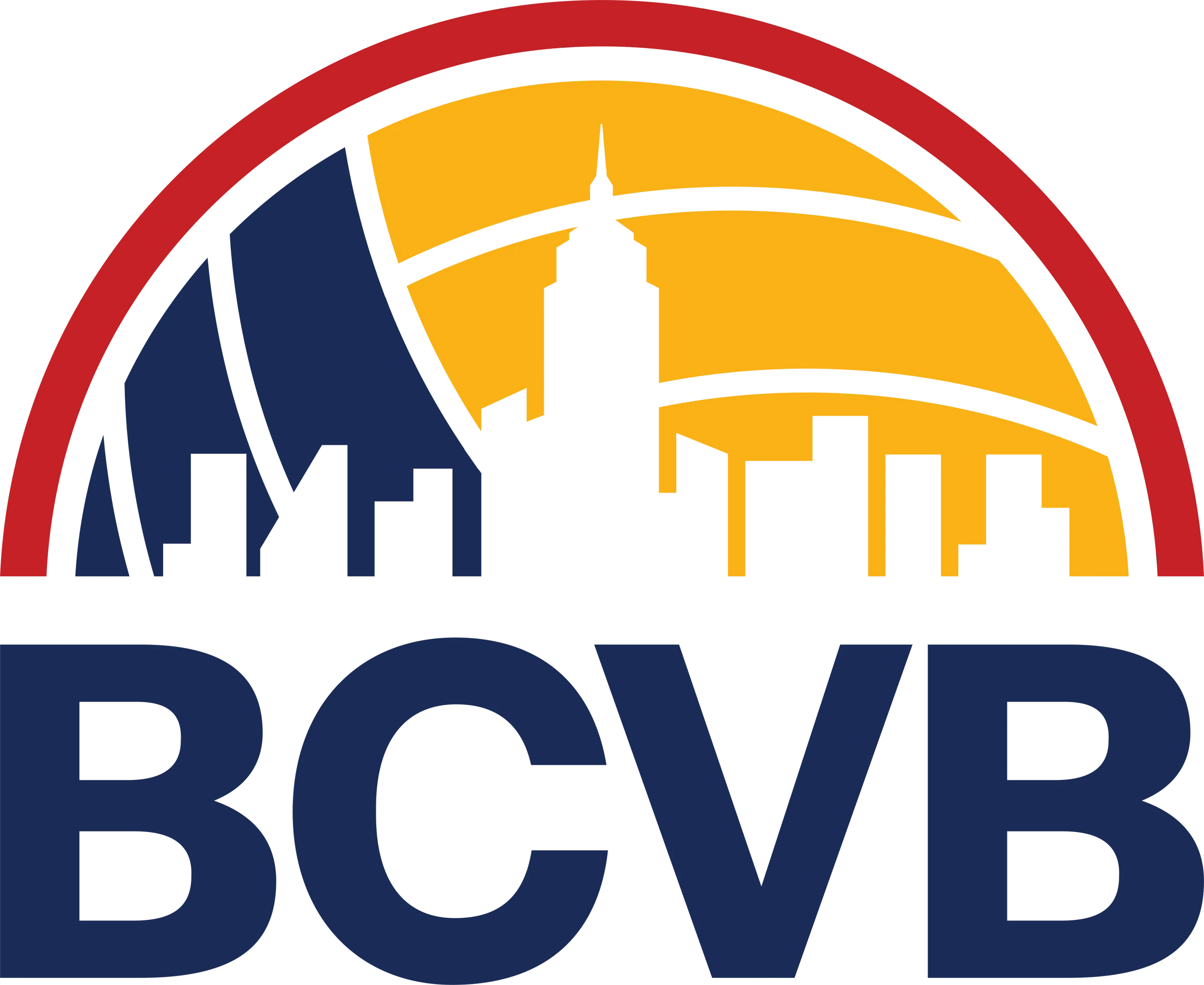 Big City Volleyball Club — image 2