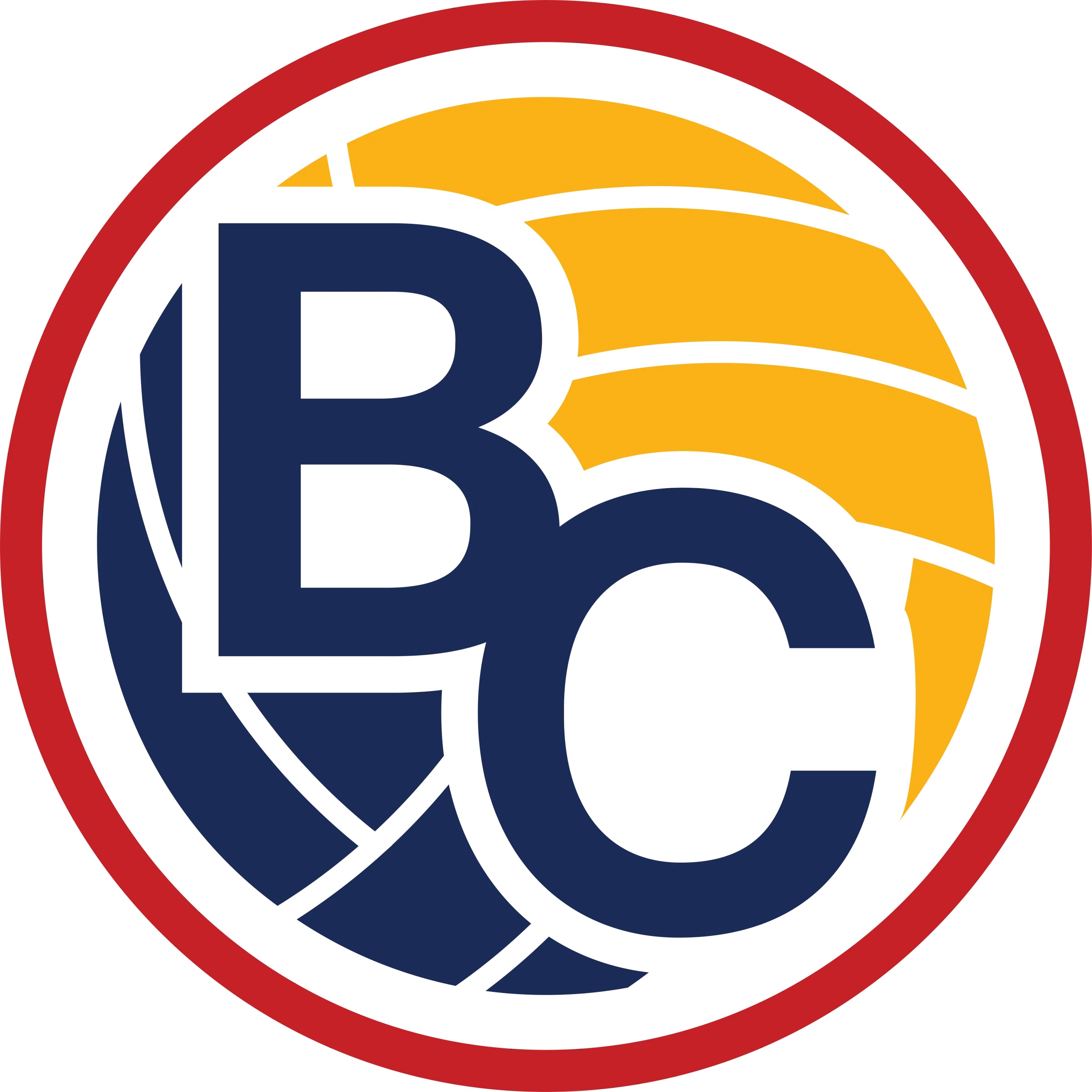 Big City Volleyball Club — image 3